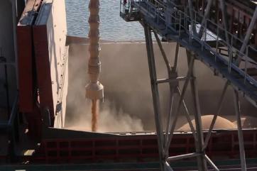 МСХ США вновь повысило прогноз по экспорту российской пшеницы